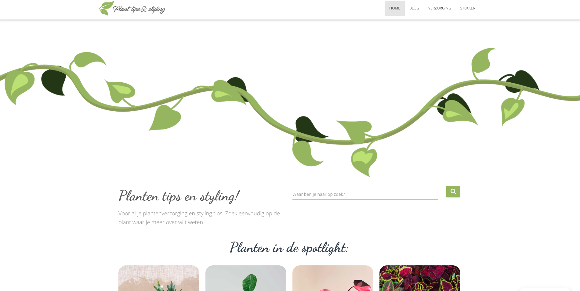Plant Tips & Styling