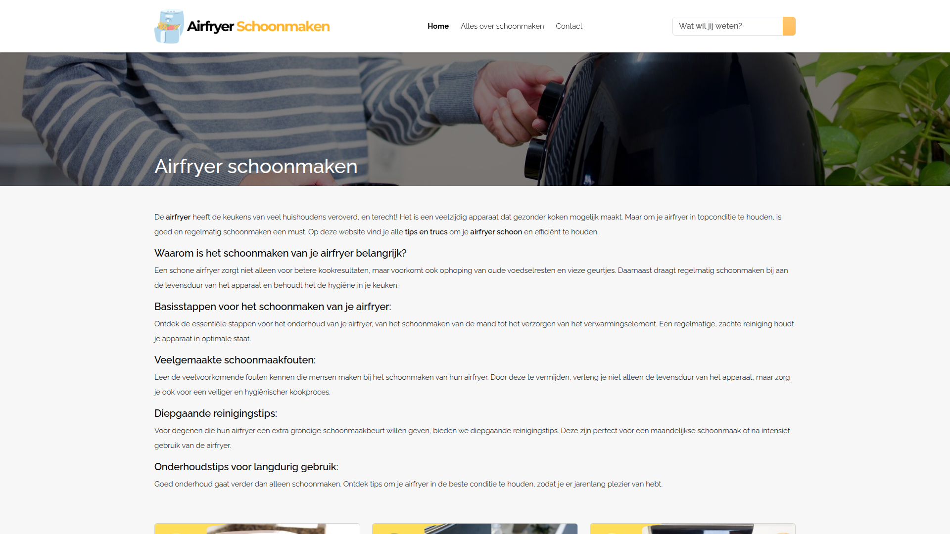 Combi-verkoop: 2 websites over Airfryers (Info en recepten) | 33.000+ woorden | Uniek