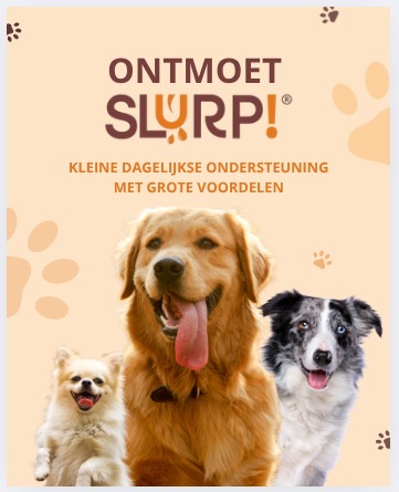 SlurpNow® – Honden Hydratatie & Vitamine Webshop (Merk + Domein)