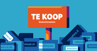 Illustratie van een persoon die een domeinnaam zoekt op het internet.